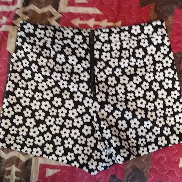Adorable Daisy Shorties - Picture 2 of 3
